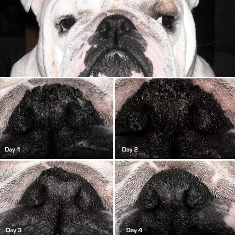 Snout Soother