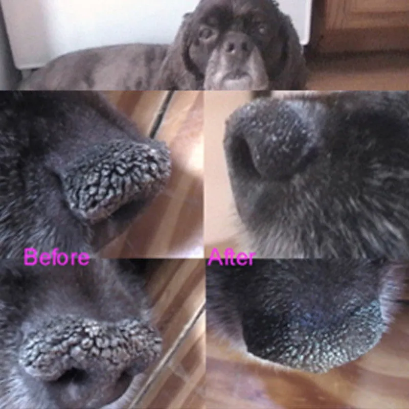 Snout Soother