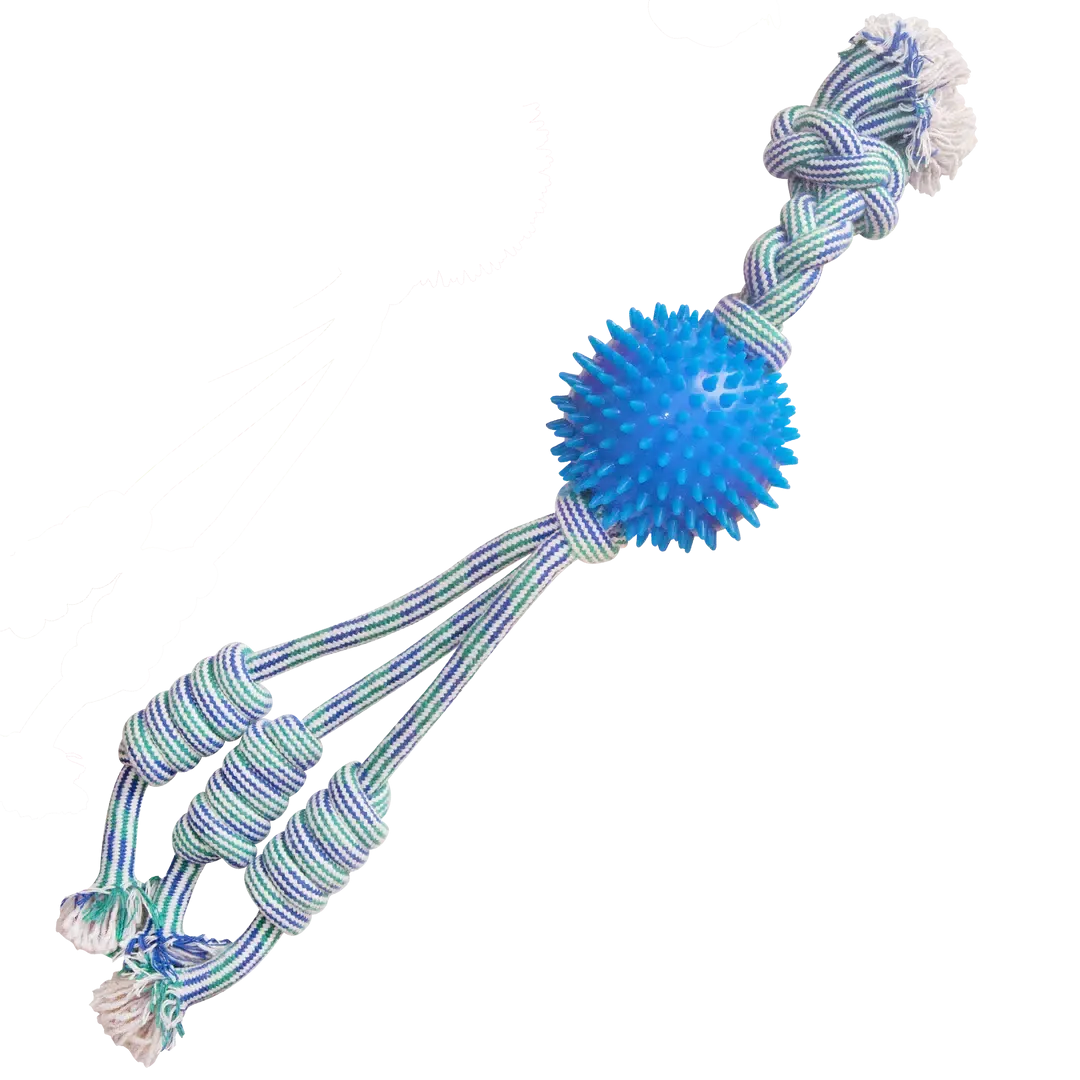 SnugArooz Feel'N Spikey Dog Toy