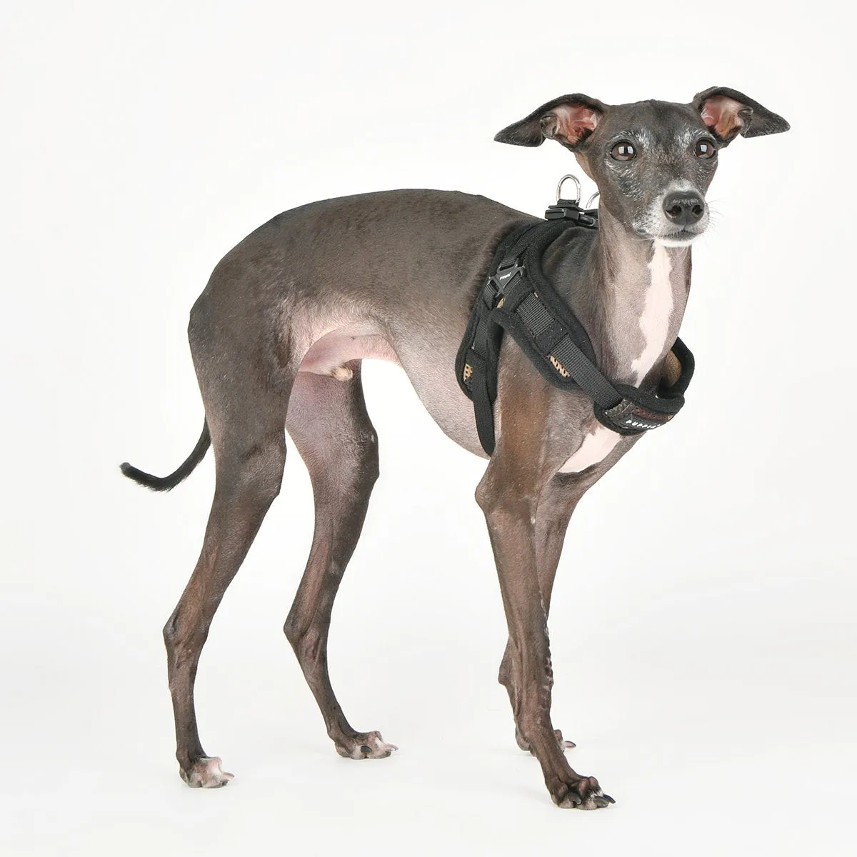 Soft Superior Dog Harness X Red XL
