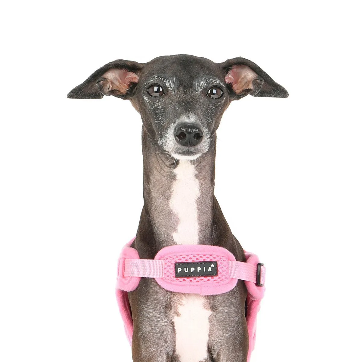 Soft Superior Dog Harness X Red XL
