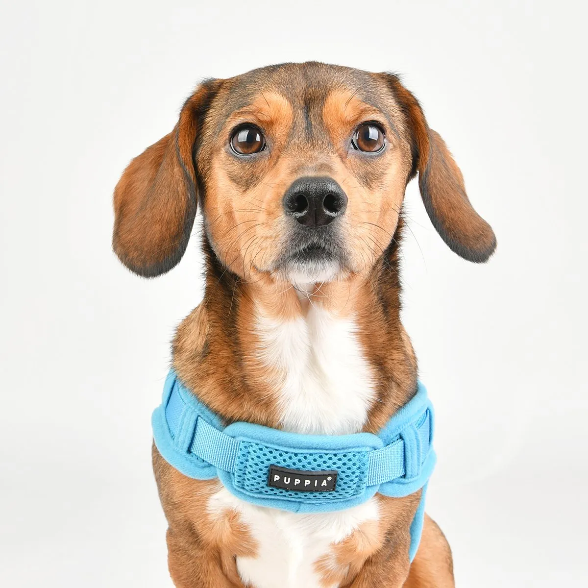 Soft Superior Dog Harness X Red XL