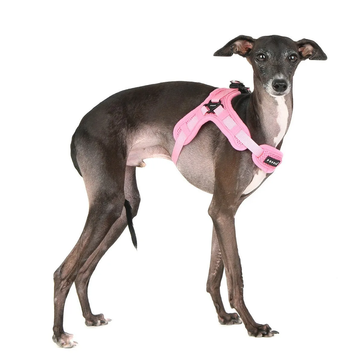 Soft Superior Dog Harness X Red XL
