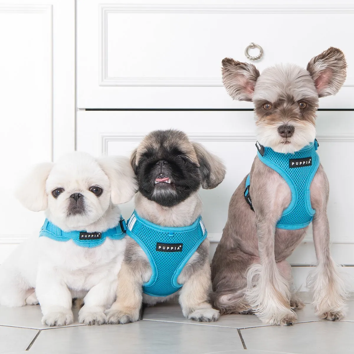 Soft Superior Dog Harness X Red XL