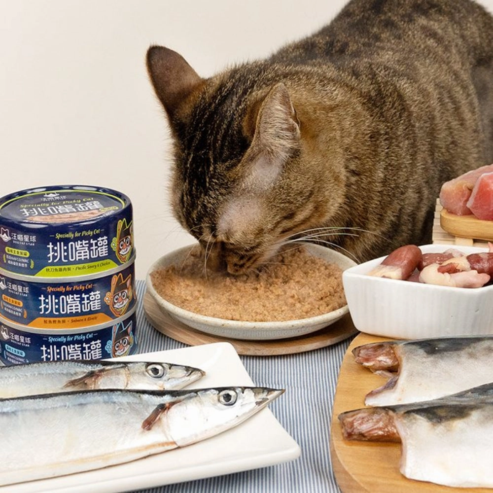 Specially for Picky Cat - Salmon & Bonito Complete Balanced Cat Can