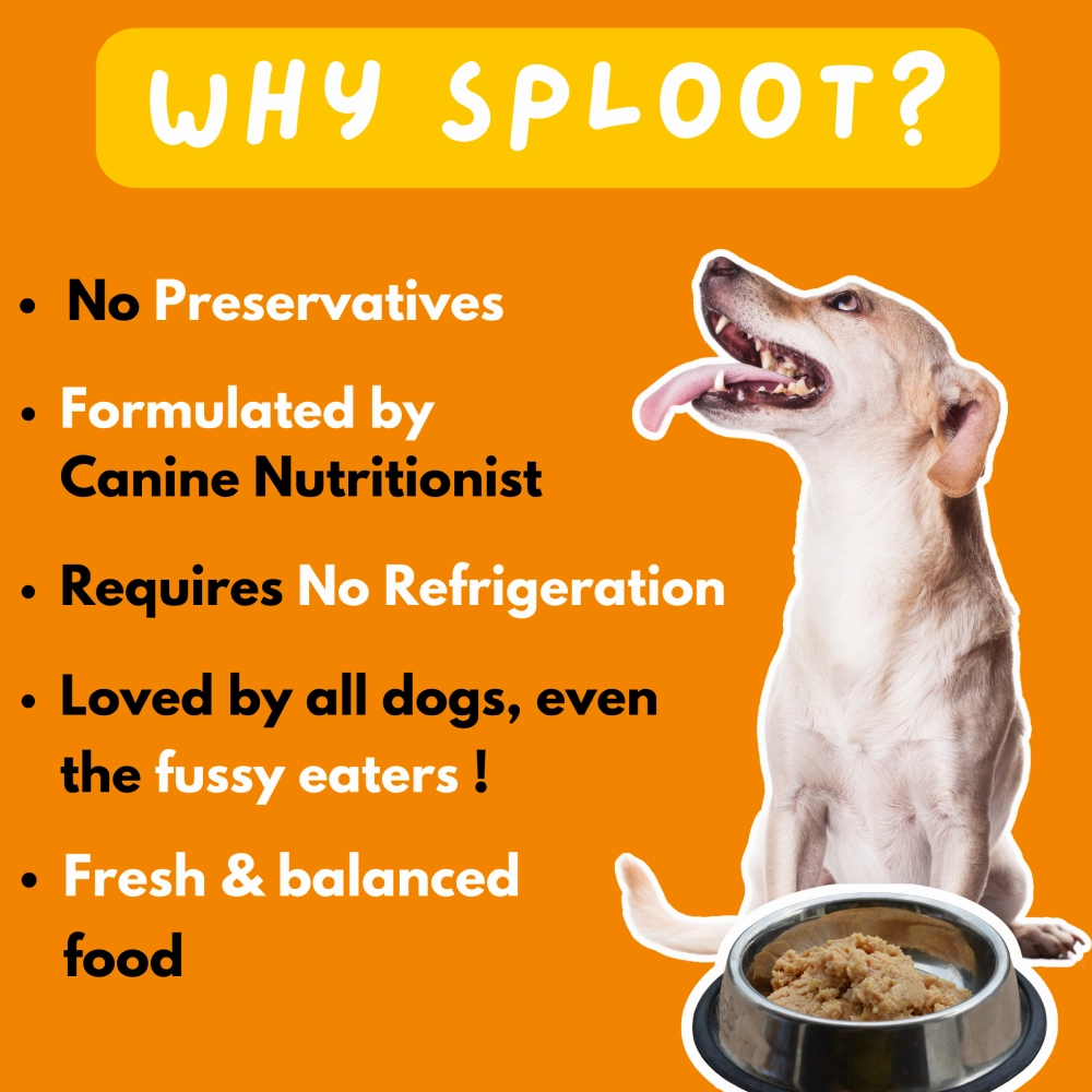 Sploot Meals Chonky Chimken Chicken and Brown Rice Dog Wet Food