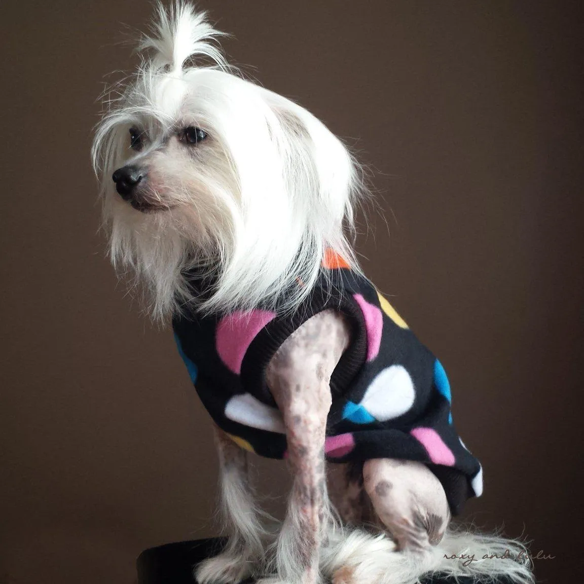 Spot On Polar Fleece Sleeveless Mock Dog Sweatshirt