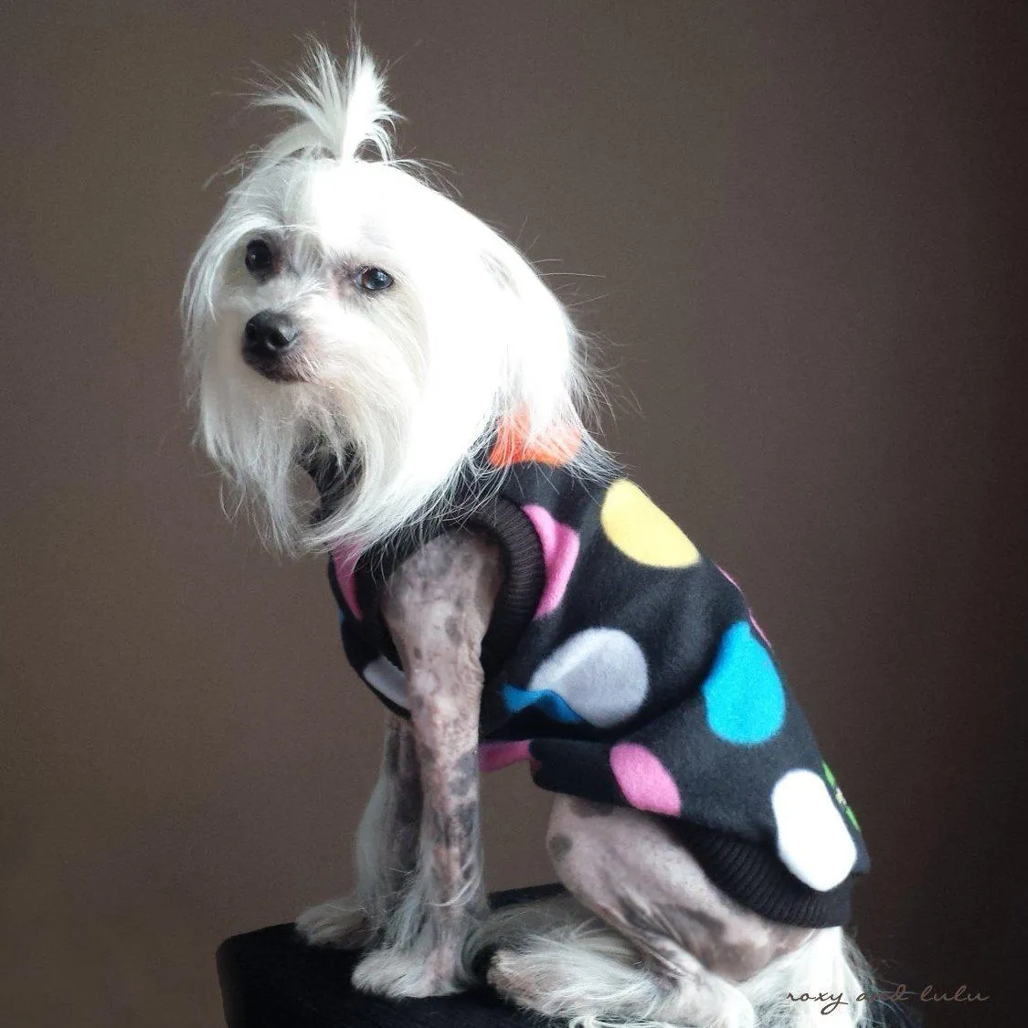 Spot On Polar Fleece Sleeveless Mock Dog Sweatshirt