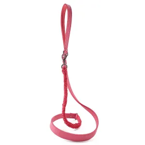 Spring Leather And Macrame Dog Leash Strawberry Ice