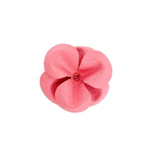 Spring Rhinestone Leather Dog Flowerette Slider Strawberry Ice