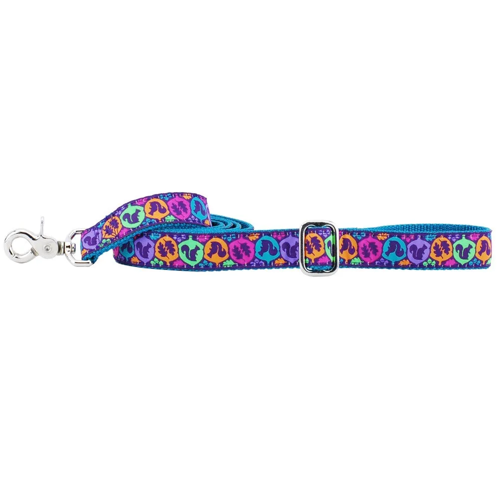 Squirrel Essential 1" Dog Collar