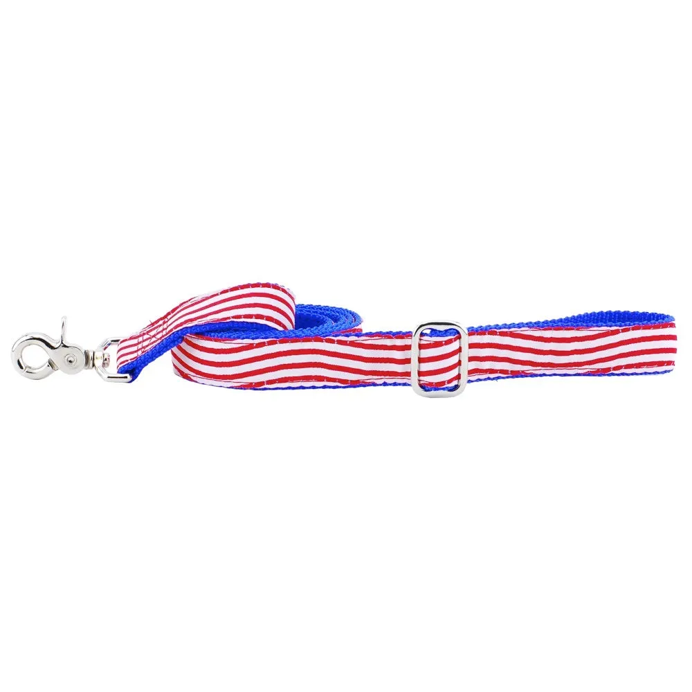 Stars And Stripes Essential 1" Dog Collar