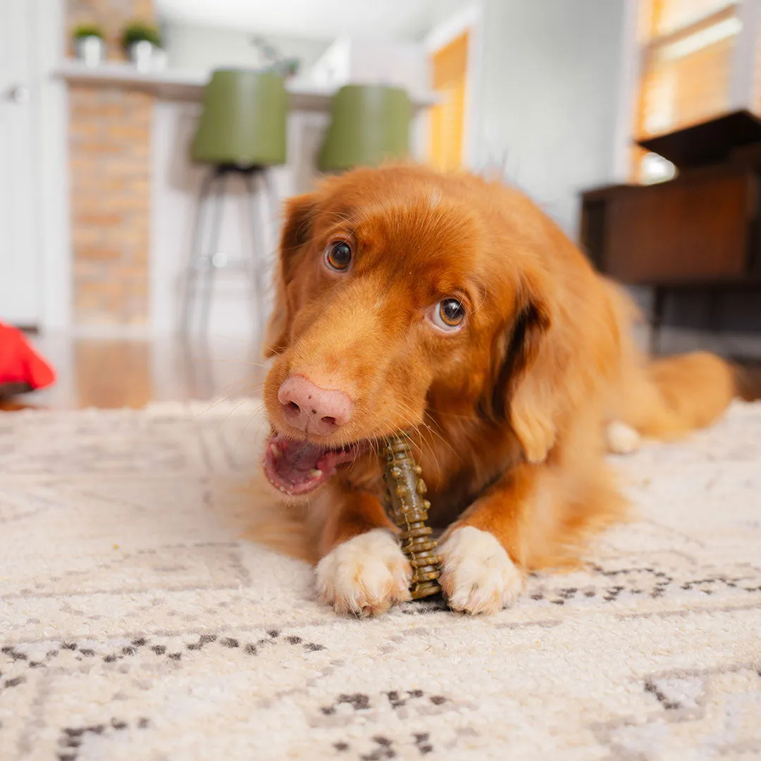 Stella & Chewy's Dental Delights
