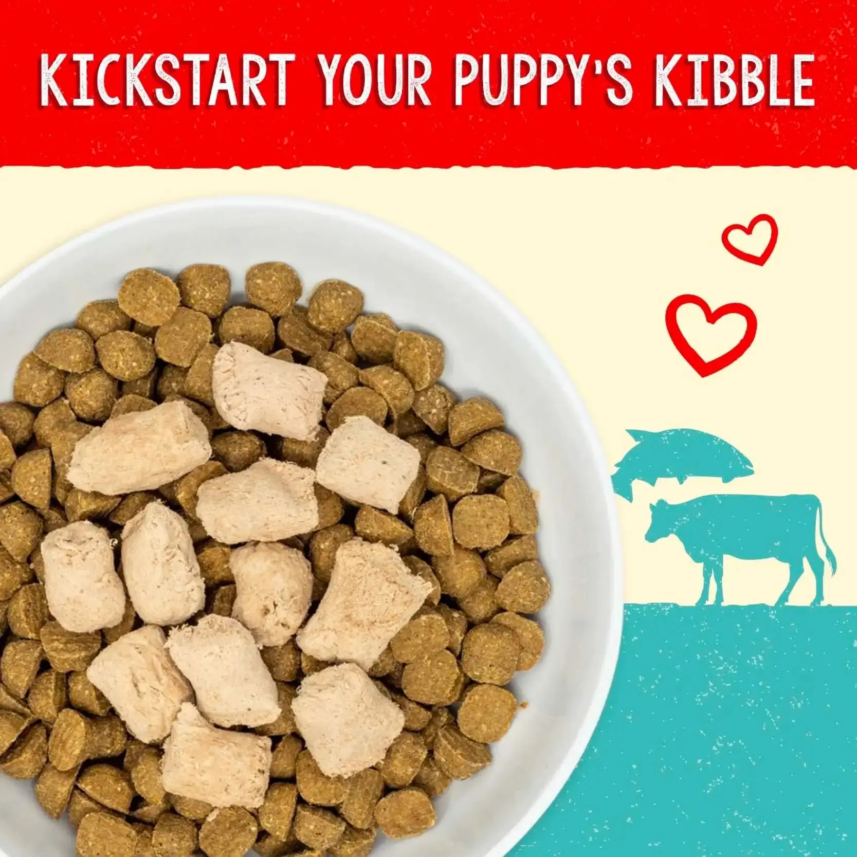 Stella & Chewy's - Freeze Dried Perfectly Puppy Beef & Salmon Meal Mixers