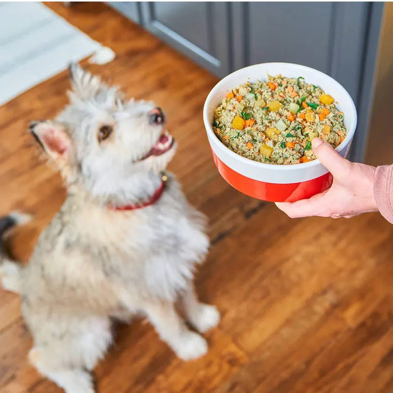 STELLA & CHEWY'S FreshMade Gently Cooked Chick-a-Lick'n Meal for Dogs
