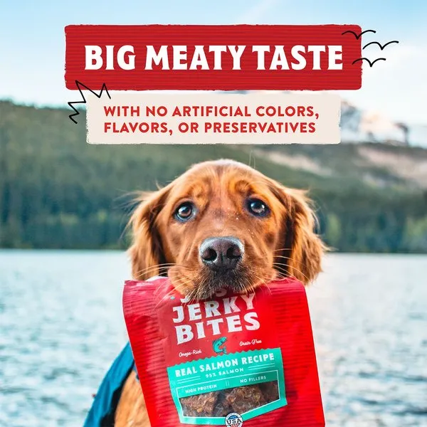 Stella & Chewy's Just Jerky Bites Real Salmon Recipe Grain-Free Dog Treats