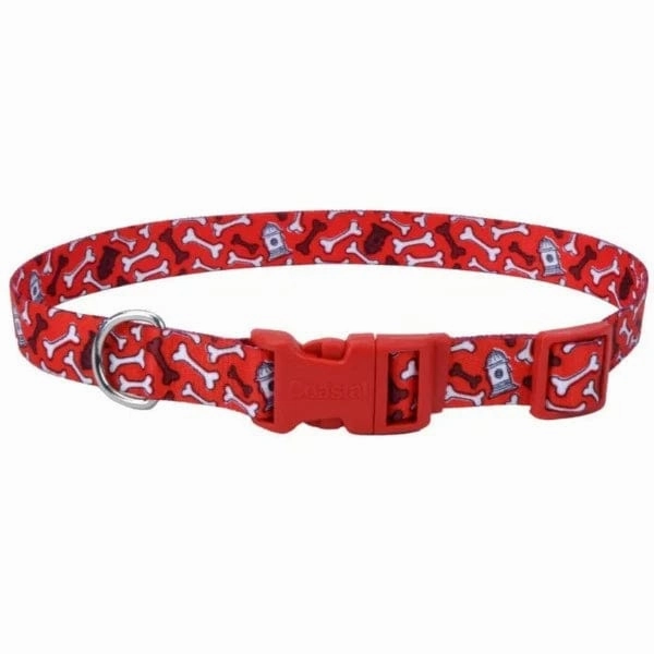 Styles Adjustable Dog Collar