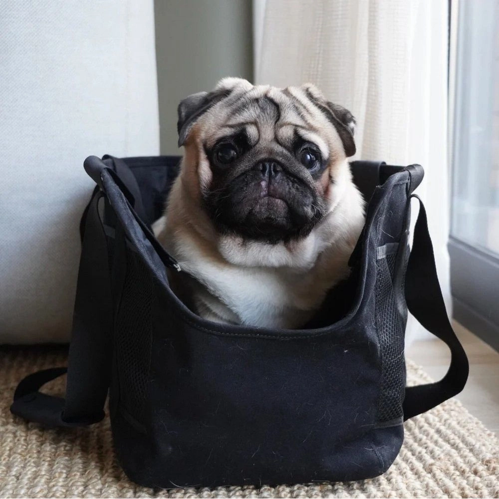 Subway Small Pet Carrier