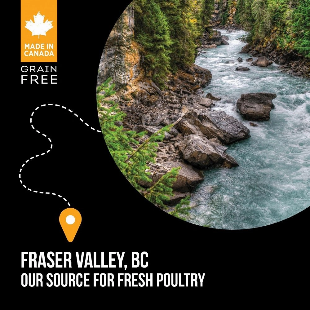 SubZero - Nutriboost Kibble Fraser Valley for Cats