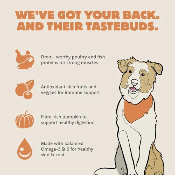 Summit Coastal Grill Chicken Meal & Salmon Meal Recipe Adult Dry Dog Food