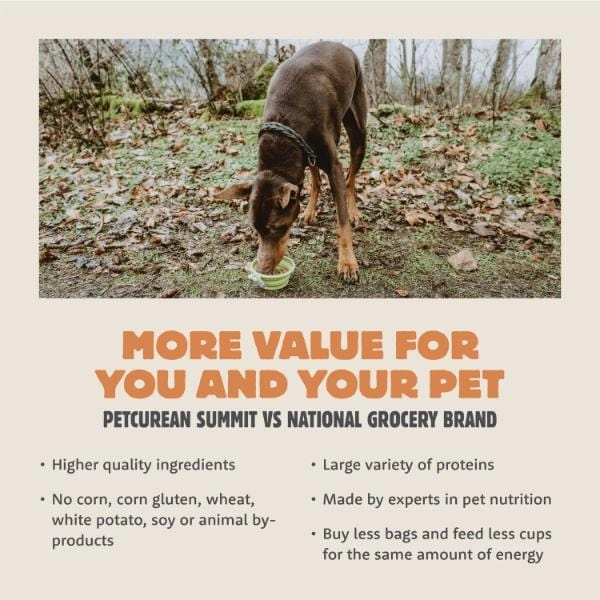 Summit Coastal Grill Chicken Meal & Salmon Meal Recipe Adult Dry Dog Food