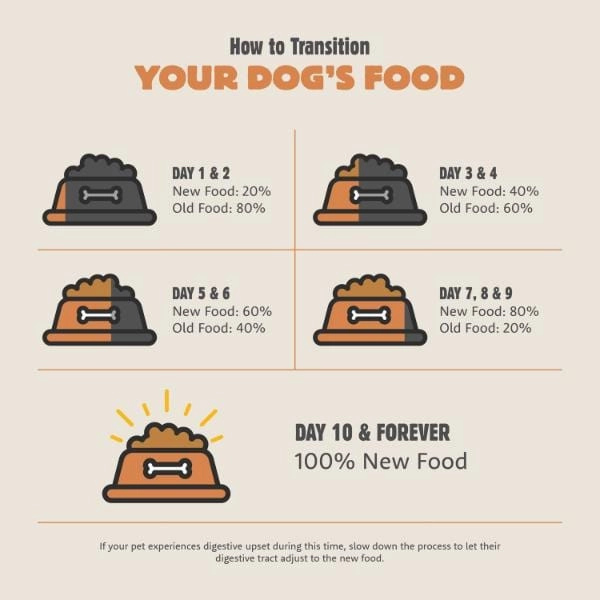Summit Coastal Grill Chicken Meal & Salmon Meal Recipe Adult Dry Dog Food