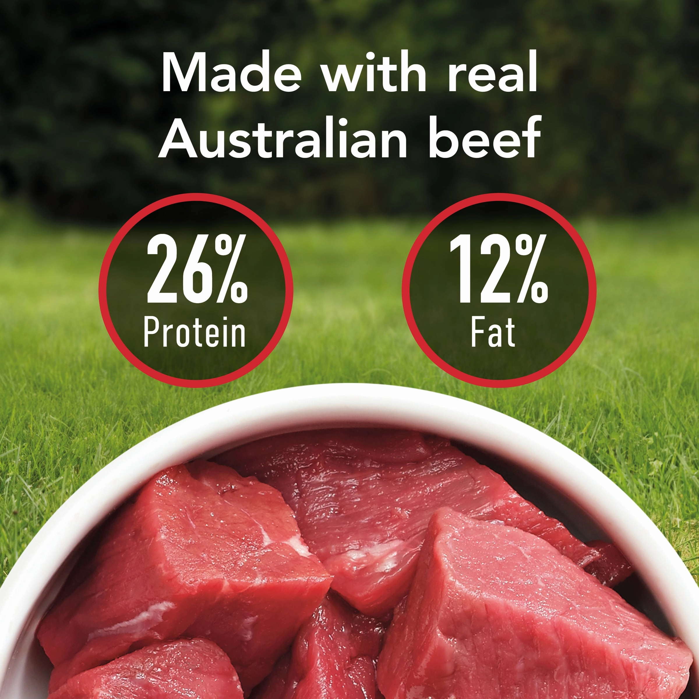 Supercoat - Active with Beef Dog Dry Food (18kg)