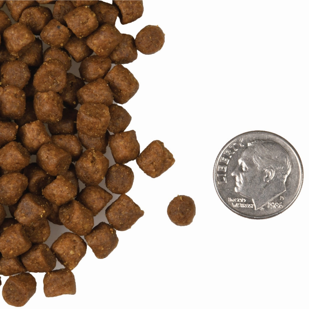 Surf & Turf Grain Free Cat Dry Food