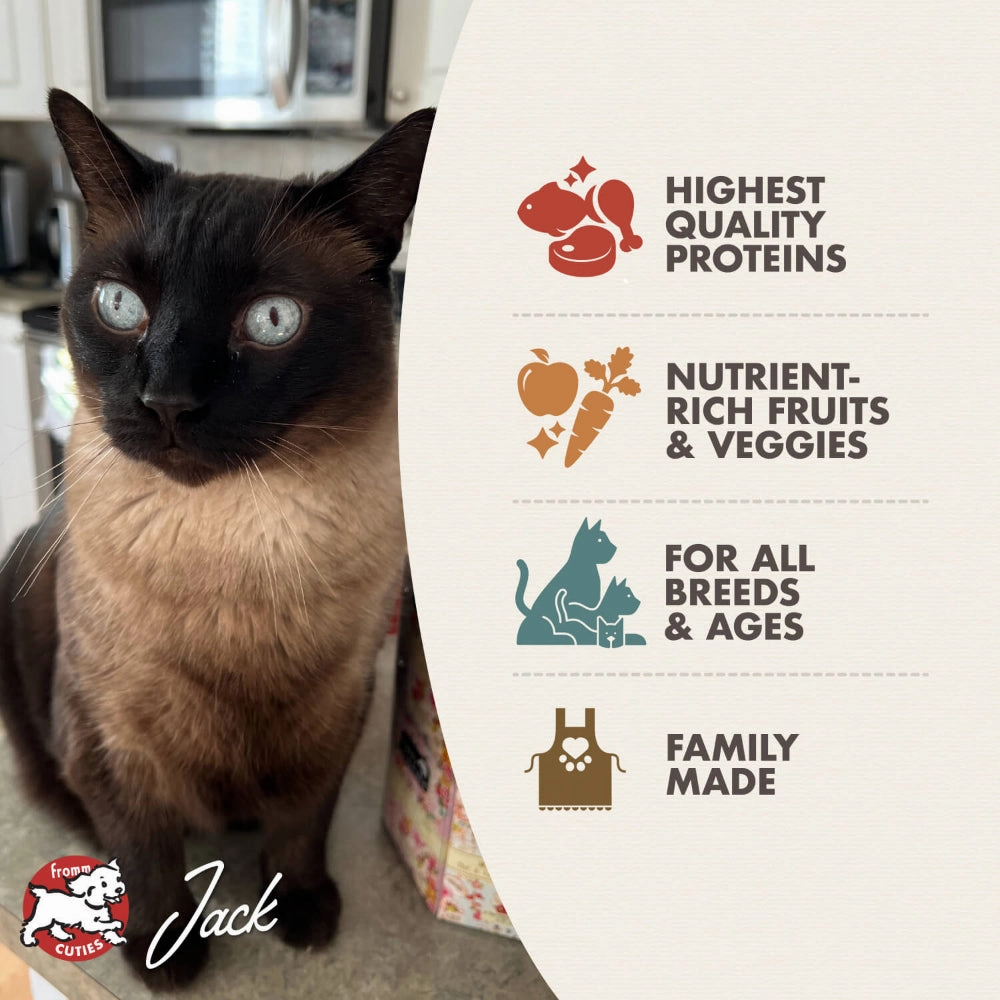 Surf & Turf Grain Free Cat Dry Food