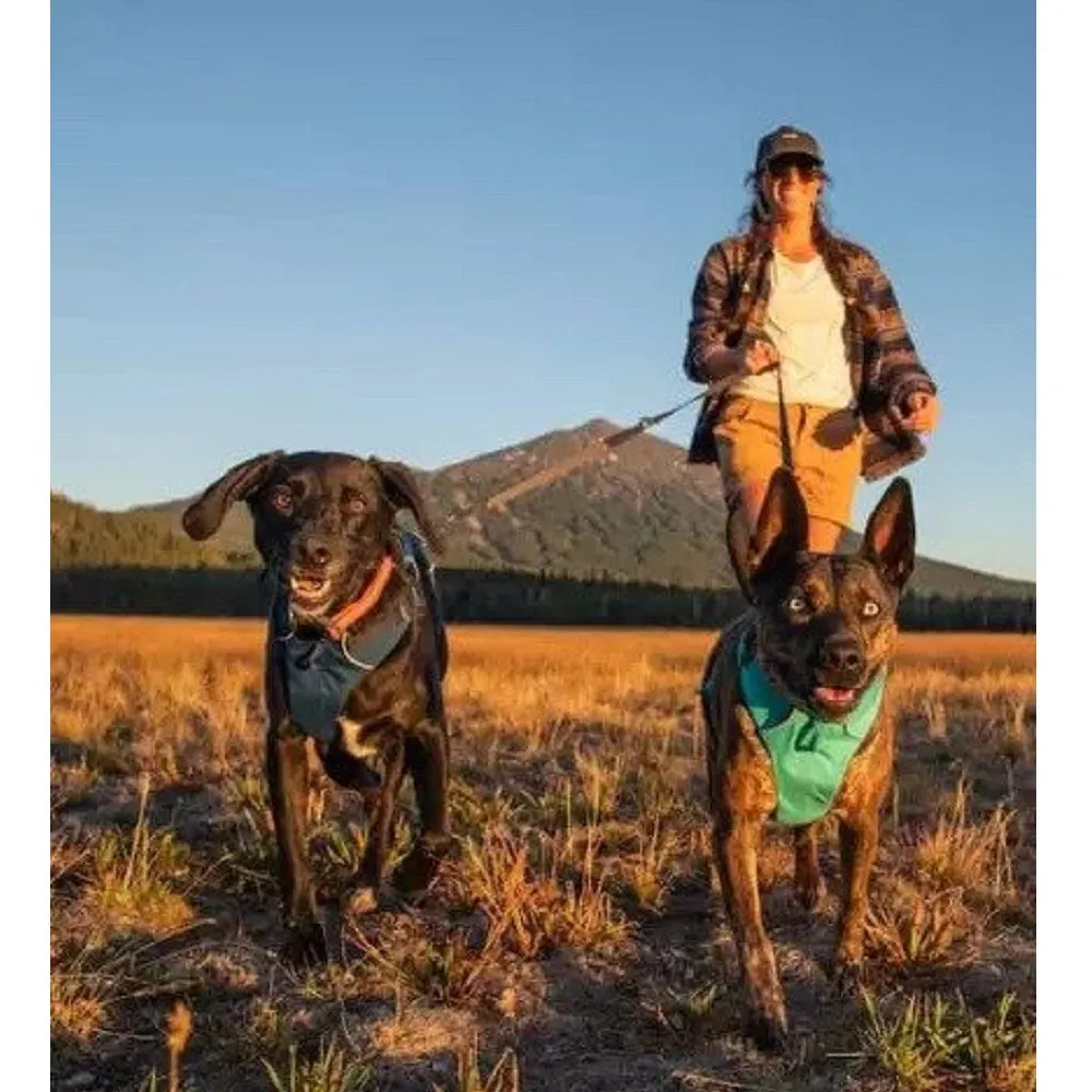 Switchbak Dog Leash