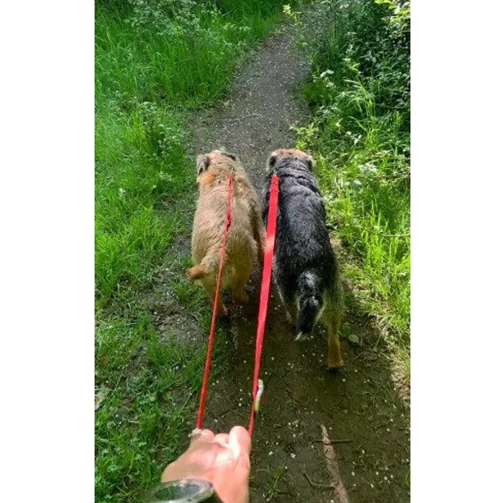 Switchbak Dog Leash