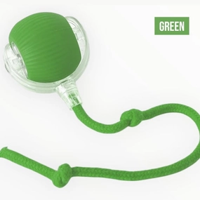 Talking Dog Club Automatic Rotating Interactive LED Ball for Cats, Kittens and Puppies (Green)