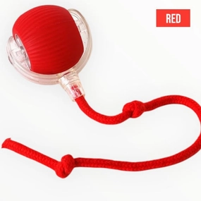 Talking Dog Club Automatic Rotating Interactive LED Ball for Cats, Kittens and Puppies (Red)