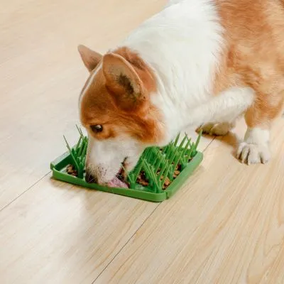 Tall Tails Grass Foraging Mat for Dogs