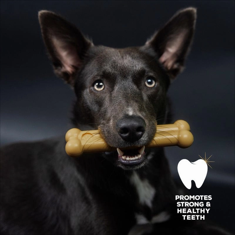 TastyBone Peanut Butter Flavour Nylon Bone for Dogs