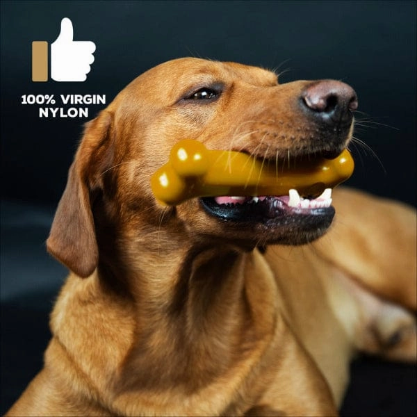 TastyBone Peanut Butter Flavour Nylon Bone for Dogs