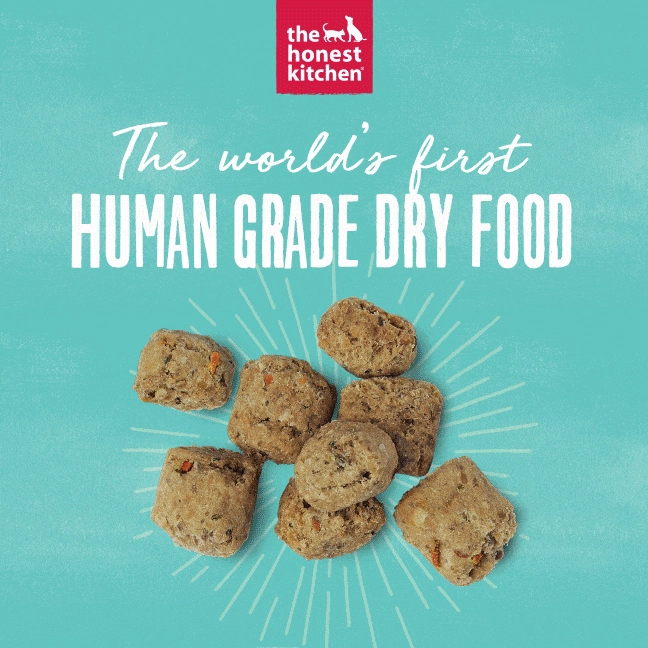 The Honest Kitchen GF Chicken Whole Food Clusters Dry Dog Food