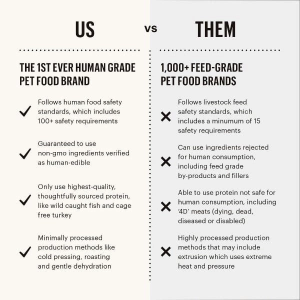 The Honest Kitchen GF Chicken Whole Food Clusters Dry Dog Food