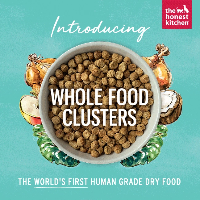 The Honest Kitchen GF Turkey Whole Food Clusters Dry Dog Food, 5lb