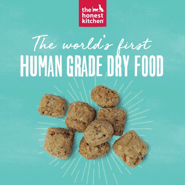 The Honest Kitchen GF Turkey Whole Food Clusters Dry Dog Food, 5lb