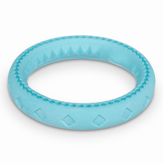 Totally Pooched Chew and Tug Ring Teal Toy for Dogs