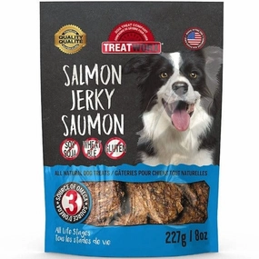 Treatworx Salmon Jerky Dog Treats