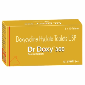 Ttk Dr Doxy 300mg (Doxycycline Hyclate) Tablet for Dogs and Cats