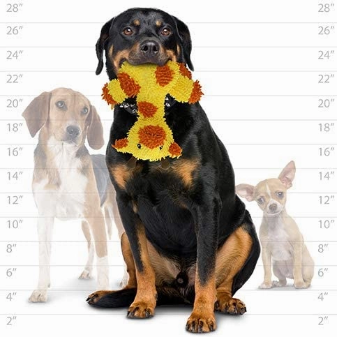 Tuffy Mighty Micro Ball Medium Giraffe Dog Toy