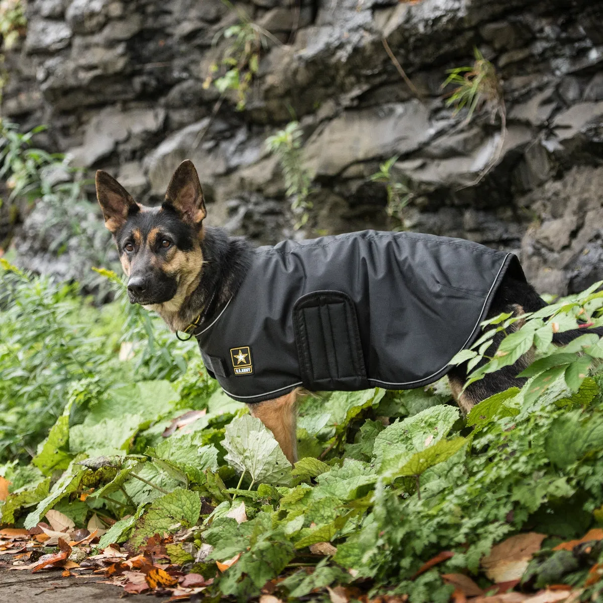 US Army Blanket Dog Jacket Black