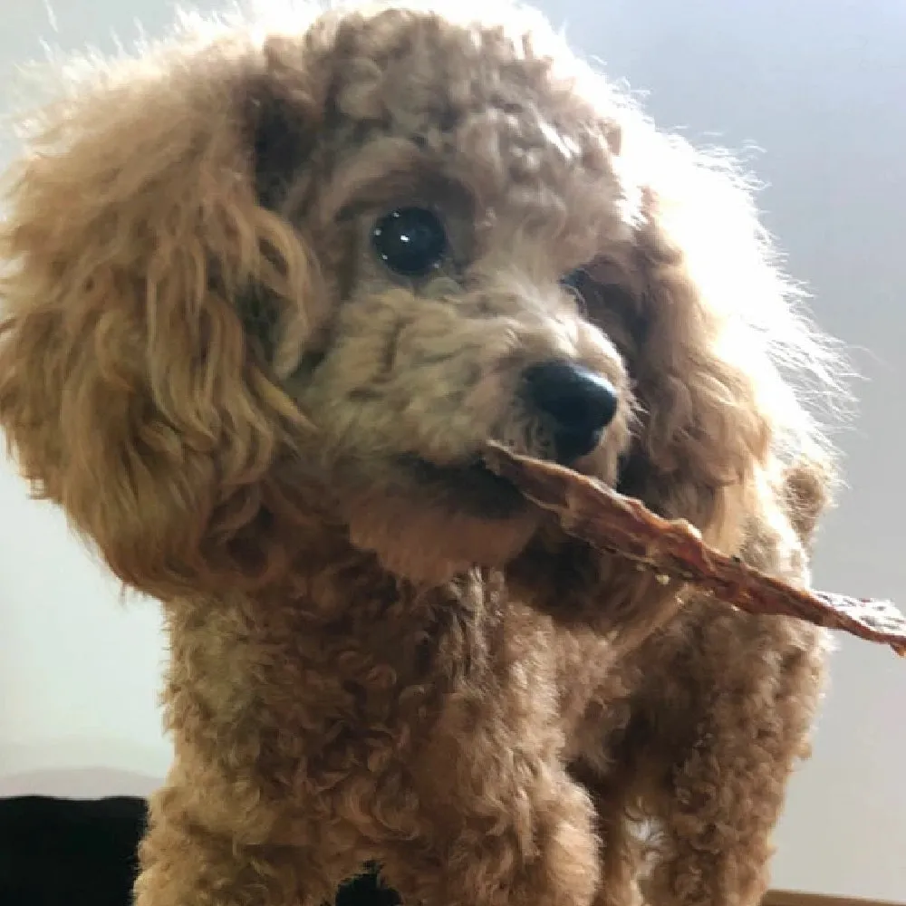 Veal Meaty Bites Dog Treats