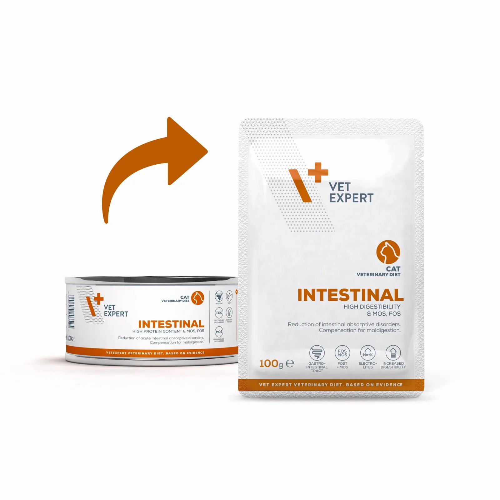 Vet Expert V  Intestinal Cat Pouch 100g