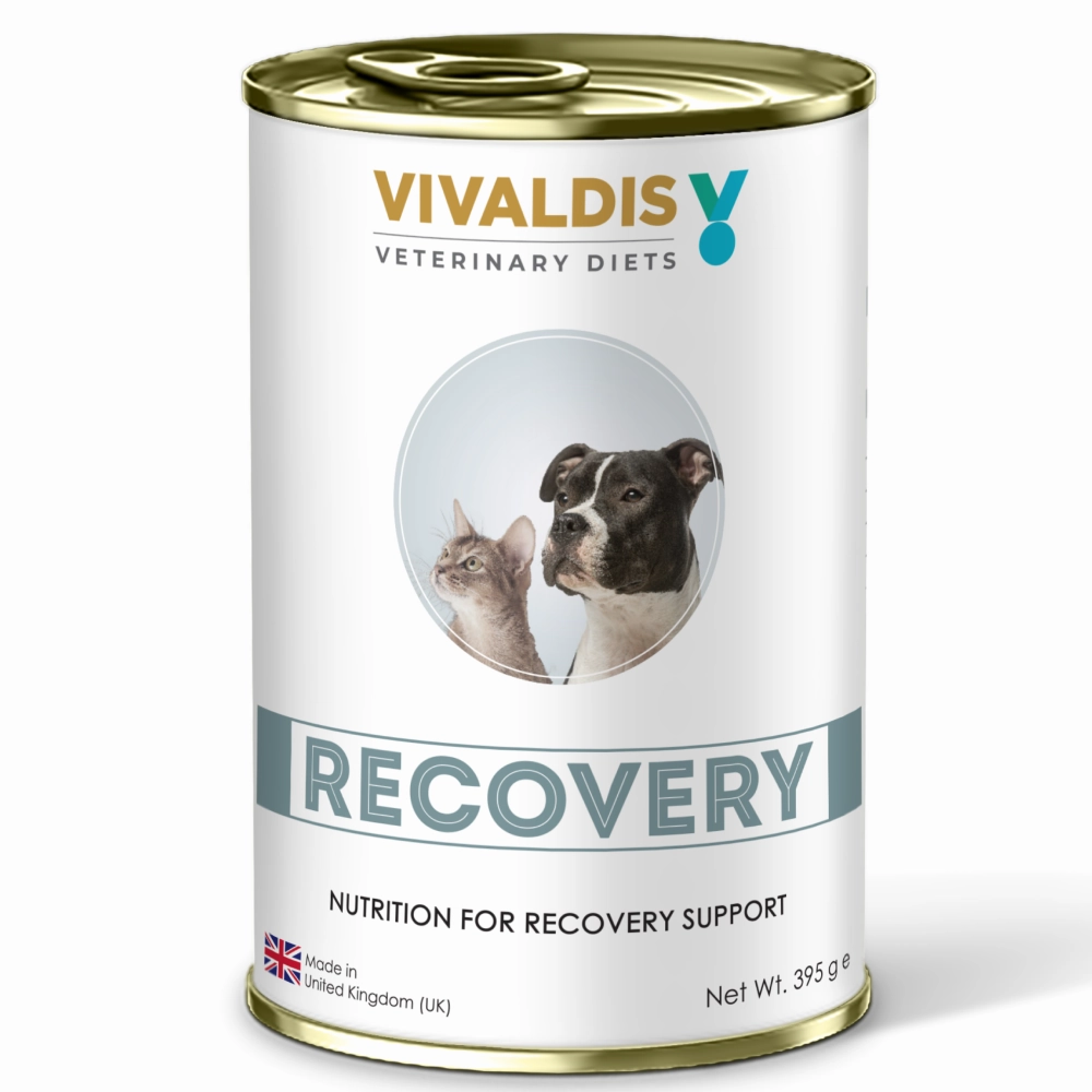 Vivaldis V Diet Recovery Diet Dog Wet Food