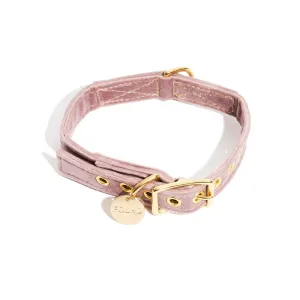 Washable Velvet Dog Collar Rose