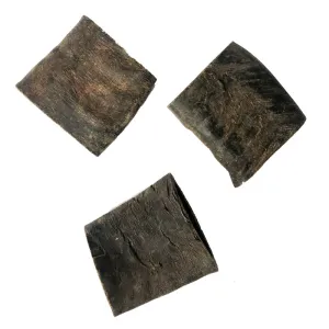Water Buffalo Horn-Small